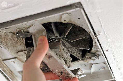 St Pete Exhaust Fan Cleaning and Maintenance